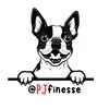 pjfinesse